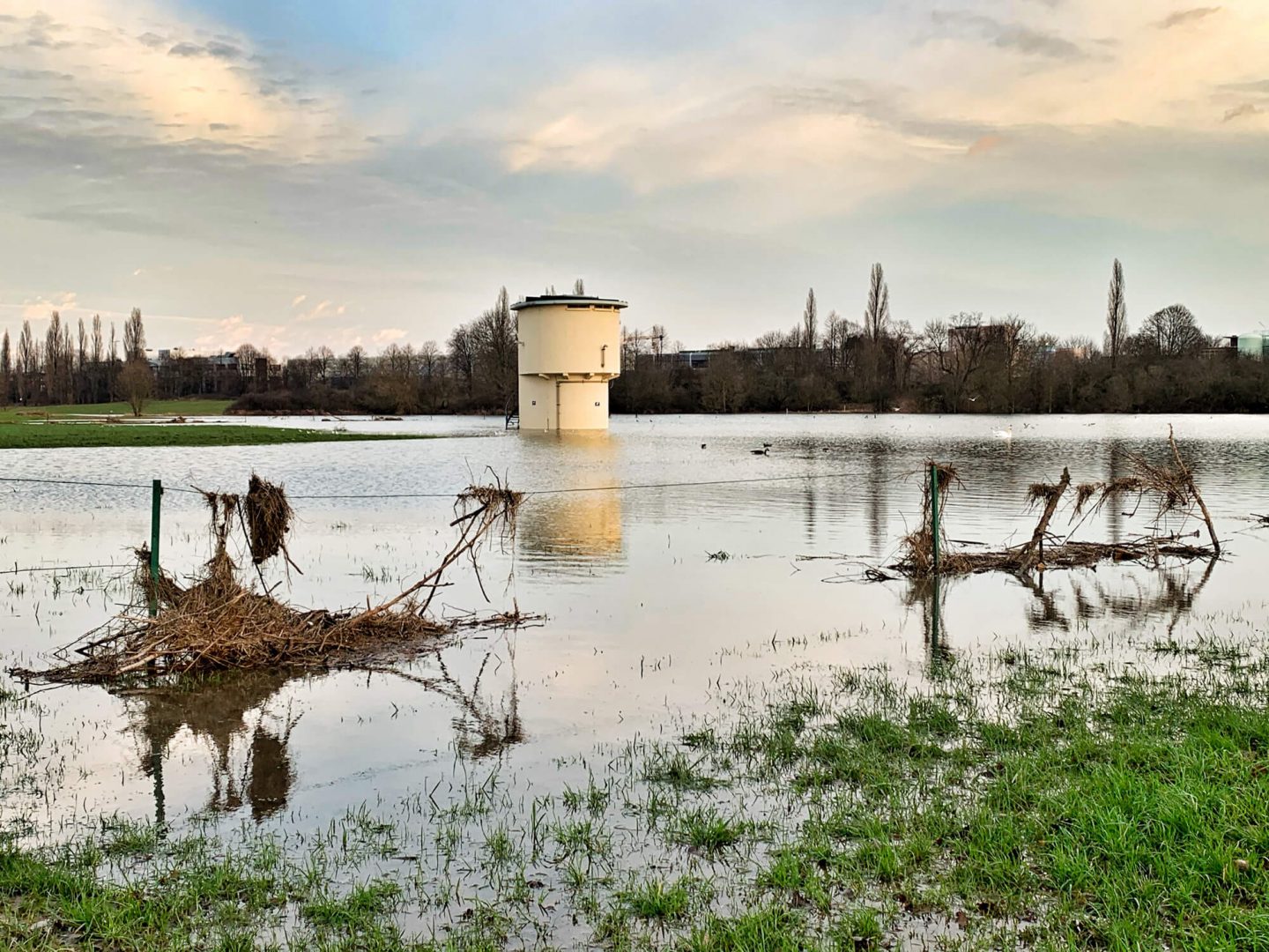 Hitdorfer Hochwasser Februar 2020
